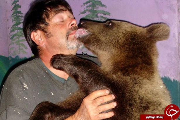 زندگی پرهیجان زوج آمریکایی با خرس‎های کودیاک +تصاویر