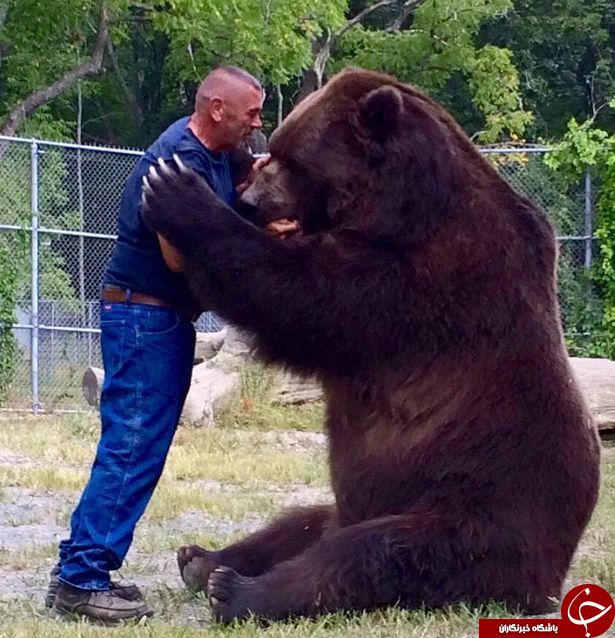 زندگی پرهیجان زوج آمریکایی با خرس‎های کودیاک +تصاویر