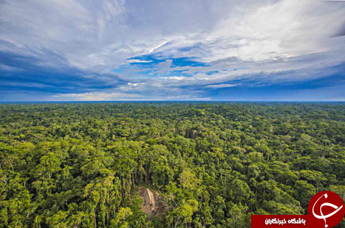 کشف تصادفی قبیله‌ای غیرمتمدن در جنگلهای آمازون+ تصاویر