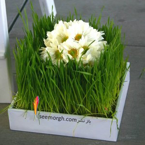 تزیین سبزه عید 97 با گل های طبیعی - مدل شماره 1